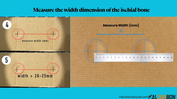 measure-the-width-dimension-of-the-ischial-bone-2