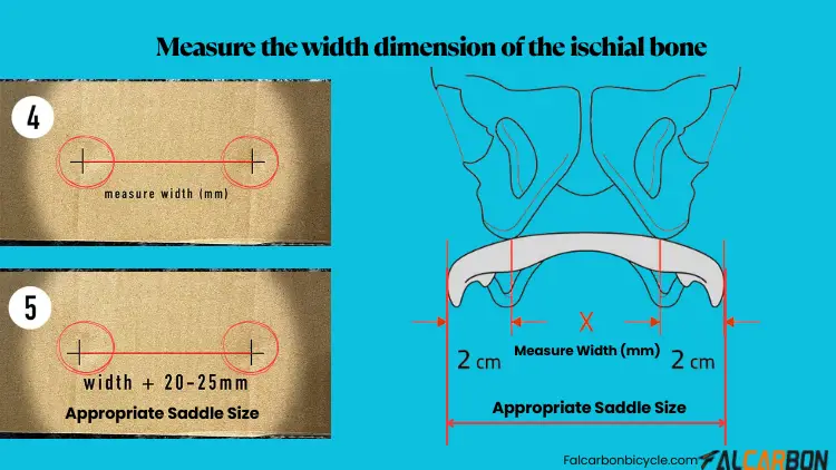 measure-the-width-dimension-of-the-ischial-bone-3
